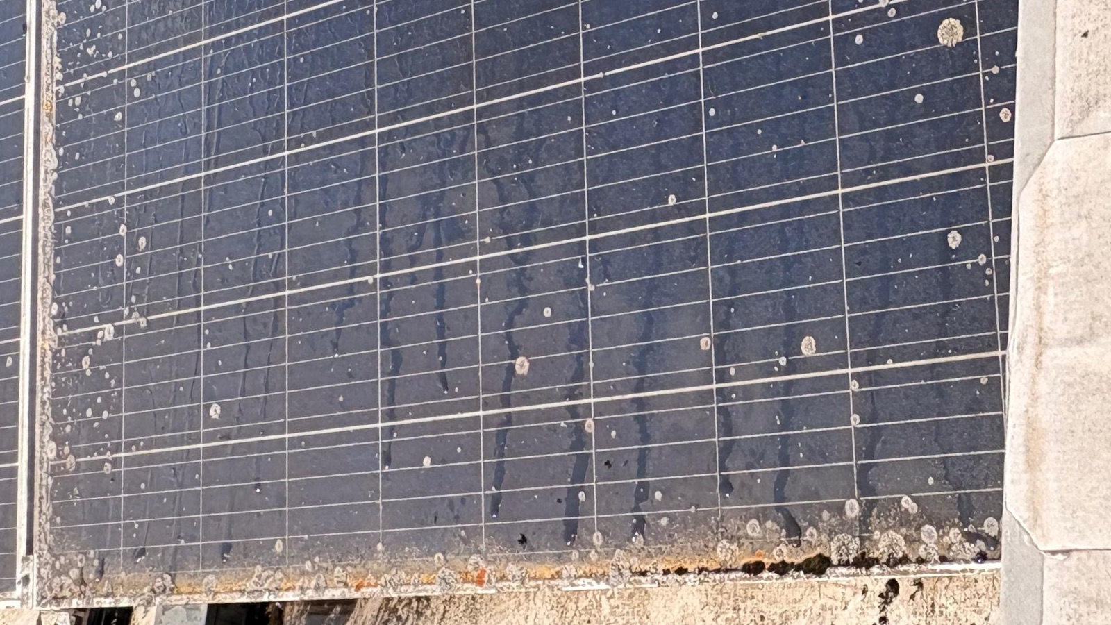 Photovoltaik-Modul vor der Reinigung – deutlich verschmutzt mit Flecken und Ablagerungen